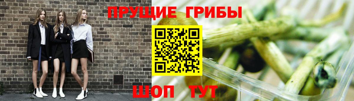 Галлюциногенные грибы мицелий Анапа