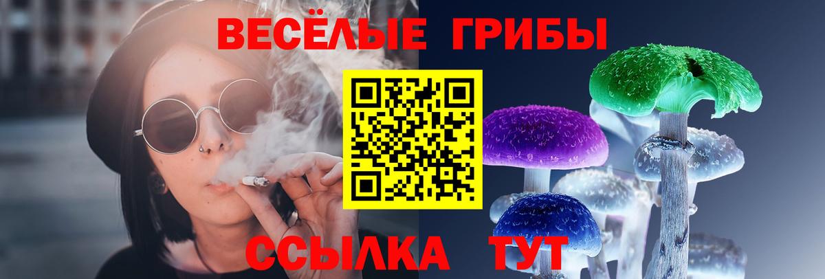 Анапа  Псилоцибиновые грибы Psilocybe  Вход с VPN 